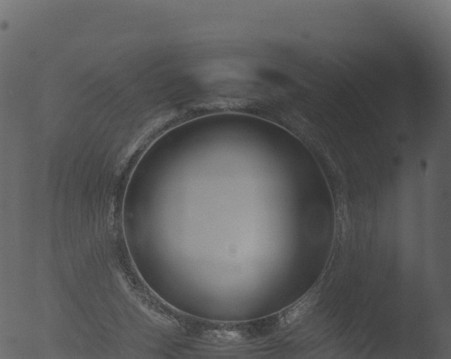 X0000053090159200507181728