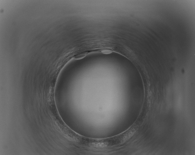 X0000053090161200507181728