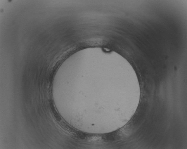 X0000053090162200507181728