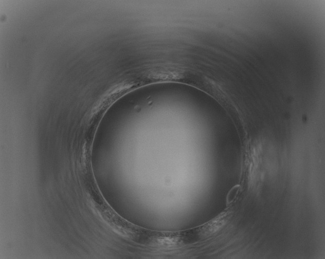 X0000053090163200507181728