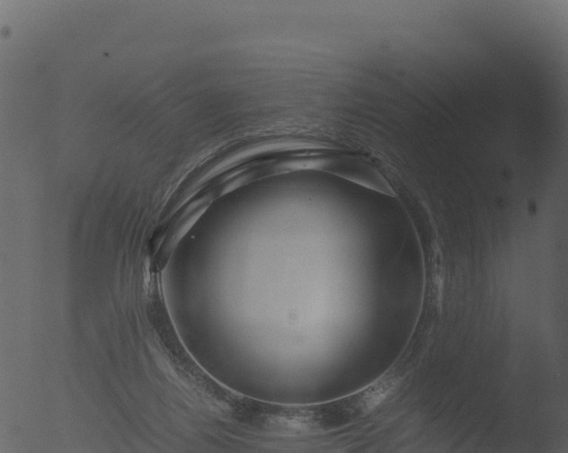 X0000053090164200507181728