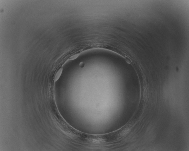 X0000053090165200507181728