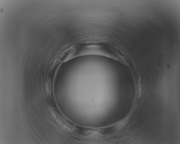 X0000053090170200507181728