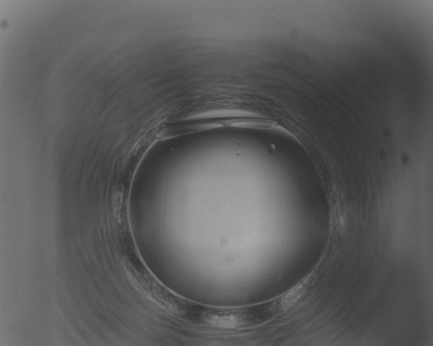 X0000053090171200507181728