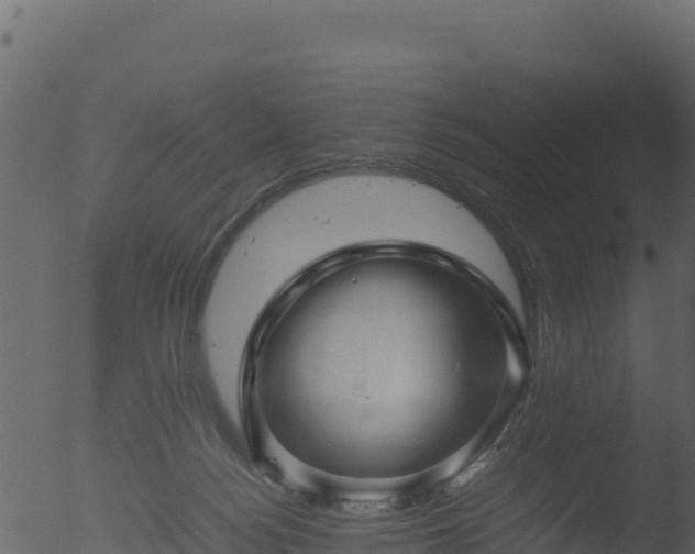 X0000053090172200507181728