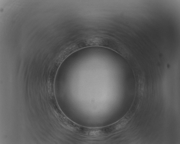 X0000053090173200507181728