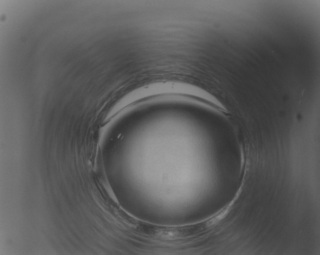 X0000053090174200507181728