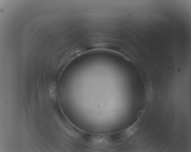 X0000053090175200507181728