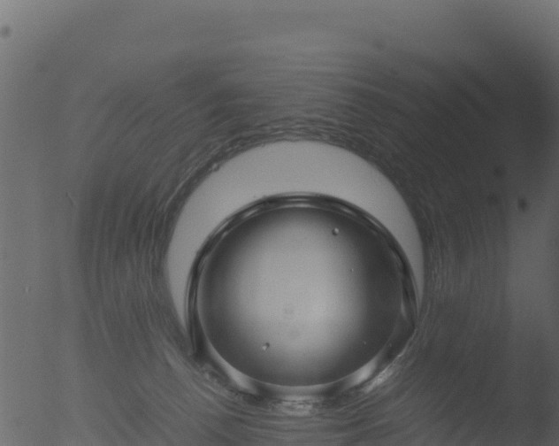 X0000053090176200507181728