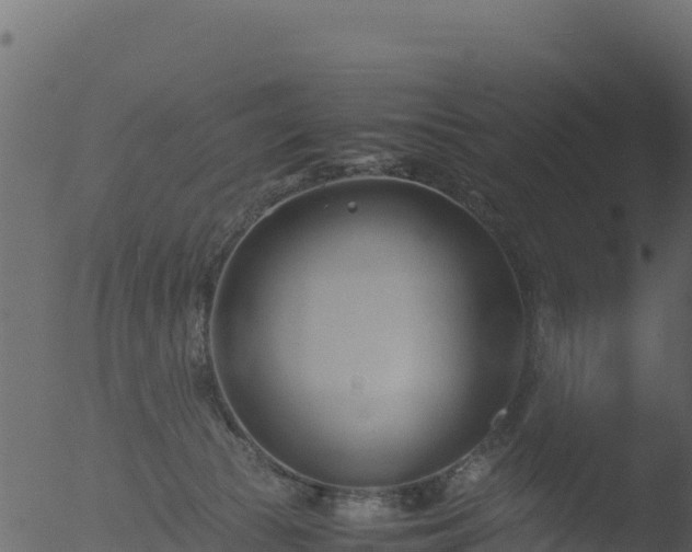 X0000053090177200507181728