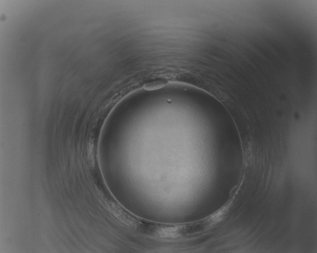 X0000053090178200507181728