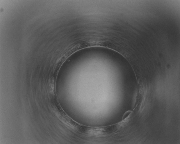 X0000053090179200507181728