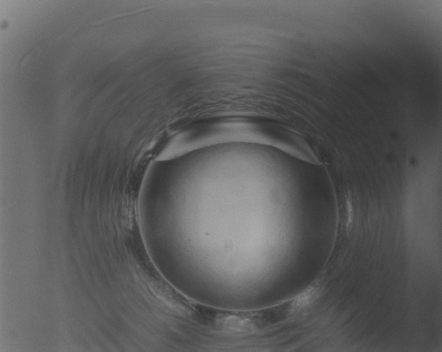 X0000053090180200507181728