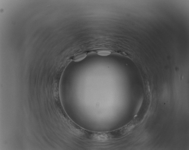 X0000053090181200507181728