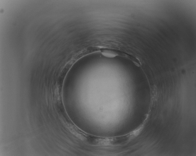 X0000053090182200507181728