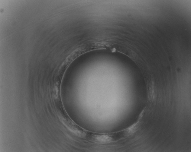 X0000053090183200507181728