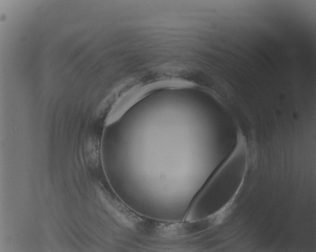 X0000053090186200507181728