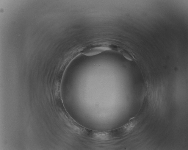 X0000053090189200507181728