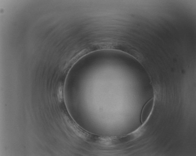 X0000053090190200507181728