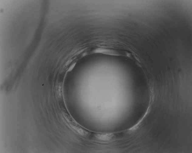 X0000053090191200507181728