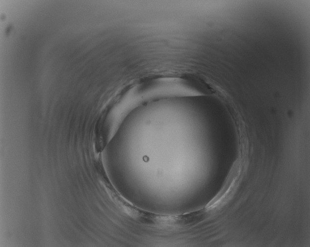 X0000053090192200507181728