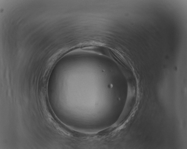 X0000053090193200507181727