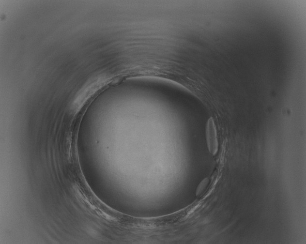 X0000053090194200507181727