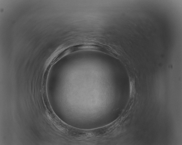 X0000053090195200507181727