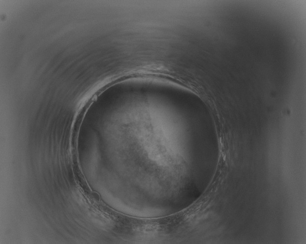 X0000053090196200507181727