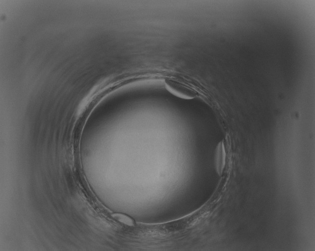 X0000053090198200507181727