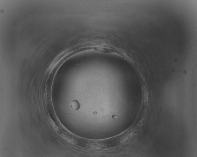 X0000053090199200507181727