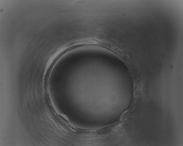 X0000053090200200507181727