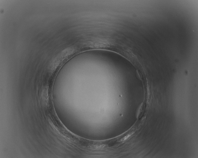 X0000053090202200507181727