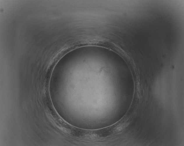 X0000053090203200507181727