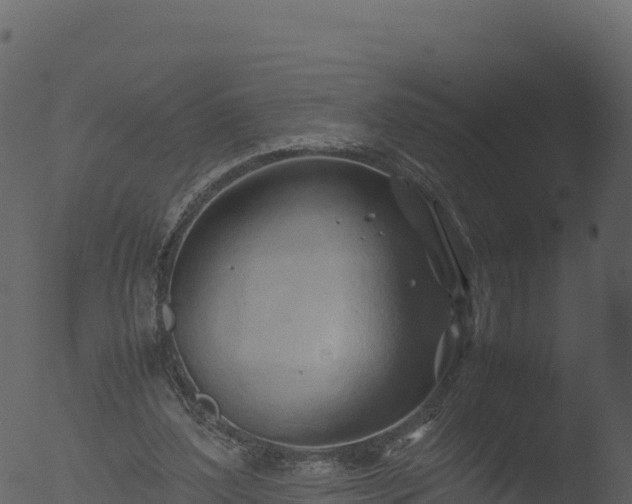 X0000053090204200507181727