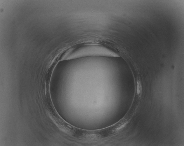 X0000053090205200507181727