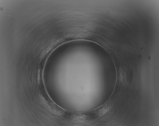 X0000053090206200507181727