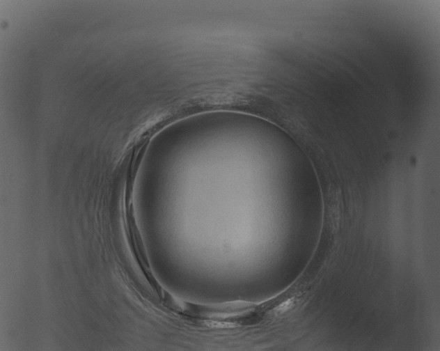 X0000053090207200507181727