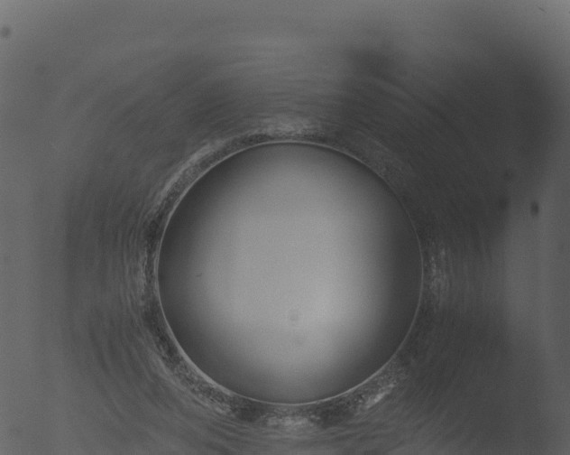 X0000053090208200507181727