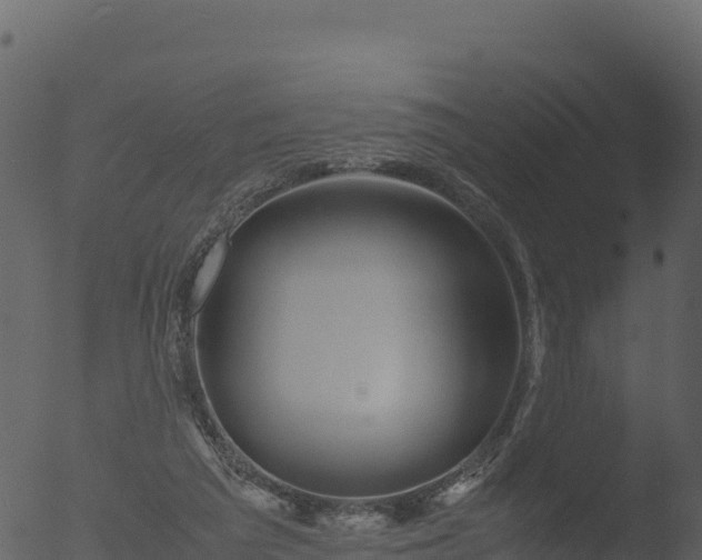 X0000053090209200507181727