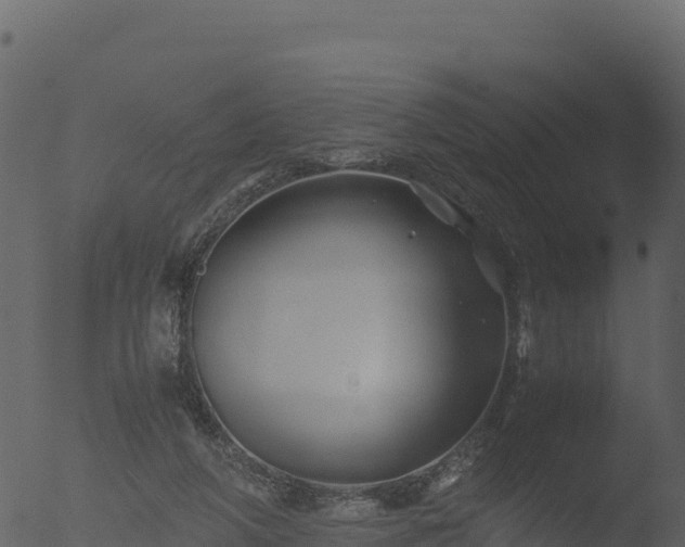 X0000053090210200507181727