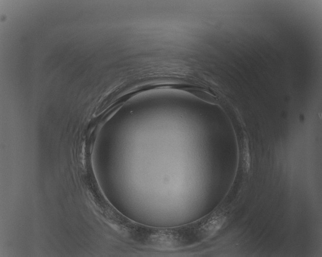 X0000053090211200507181727