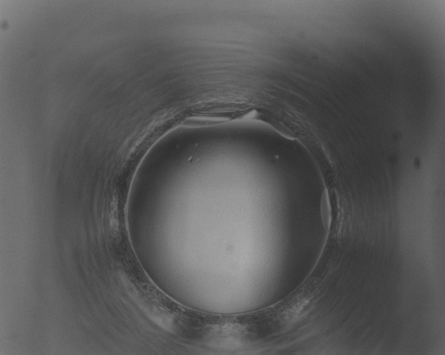 X0000053090212200507181727