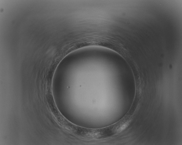 X0000053090213200507181727