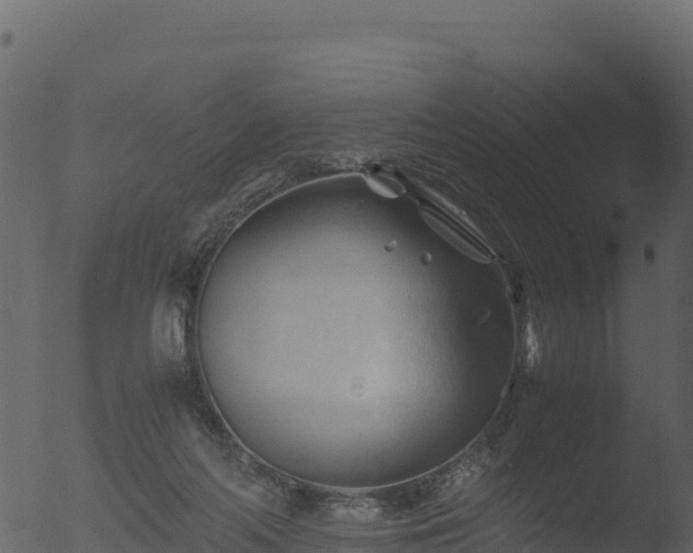 X0000053090214200507181727