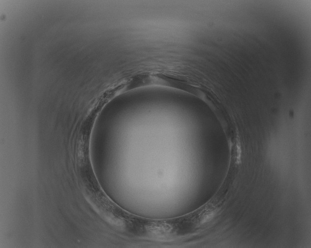 X0000053090215200507181727