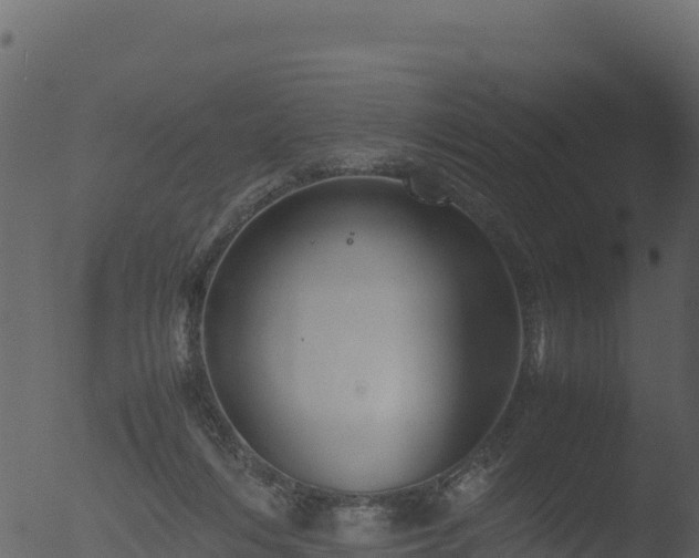 X0000053090216200507181727