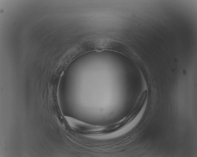 X0000053090217200507181727