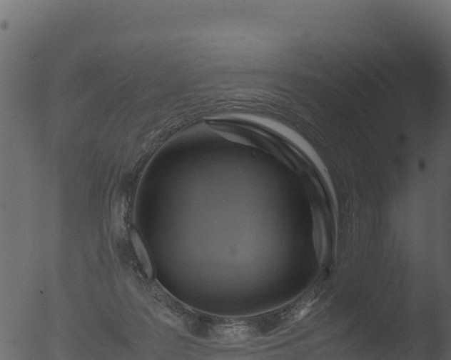 X0000053090219200507181727