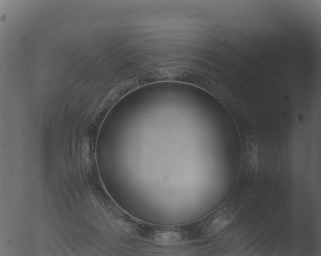 X0000053090220200507181727